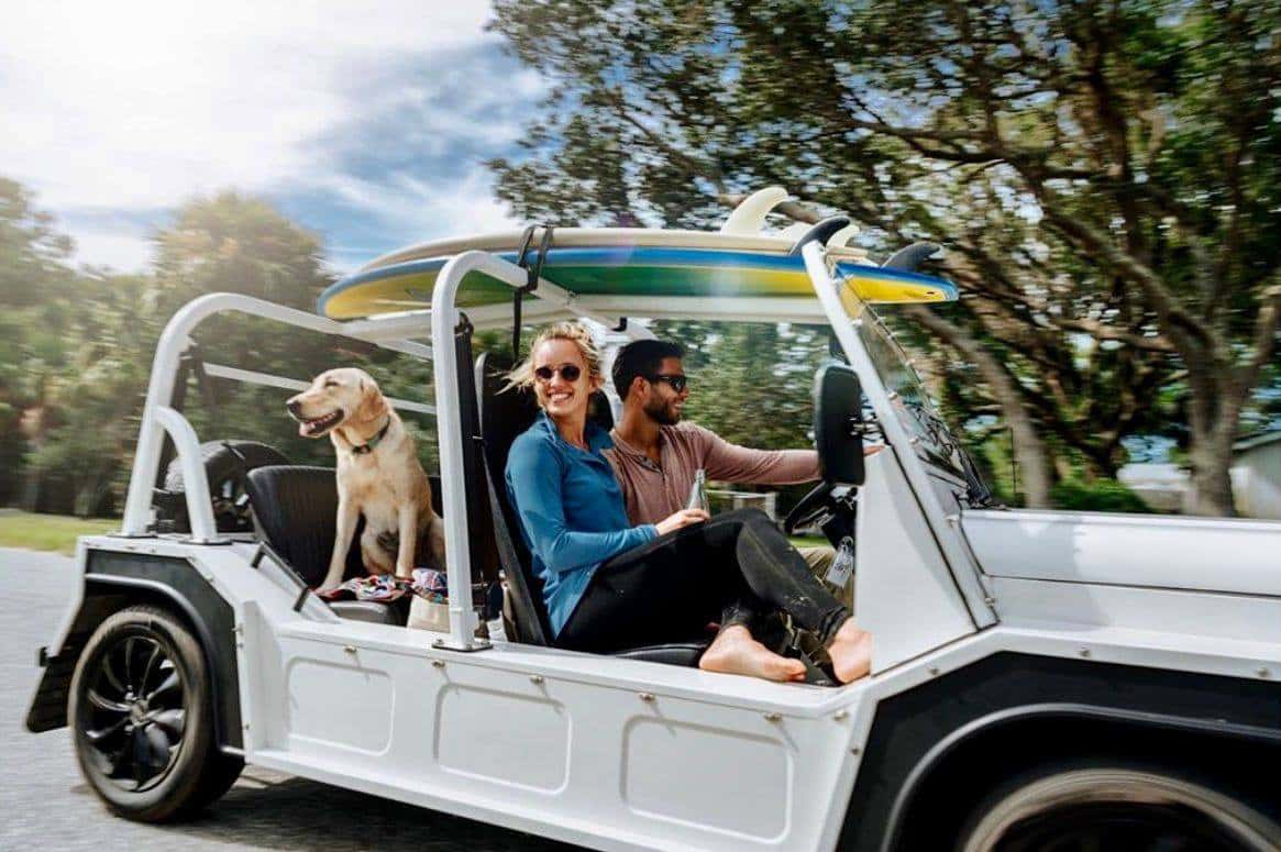 Renting a Moke with a dog riding in a Moke