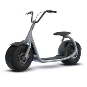 Gray KAASPEED Electric Scooter with Round/Flat Tires