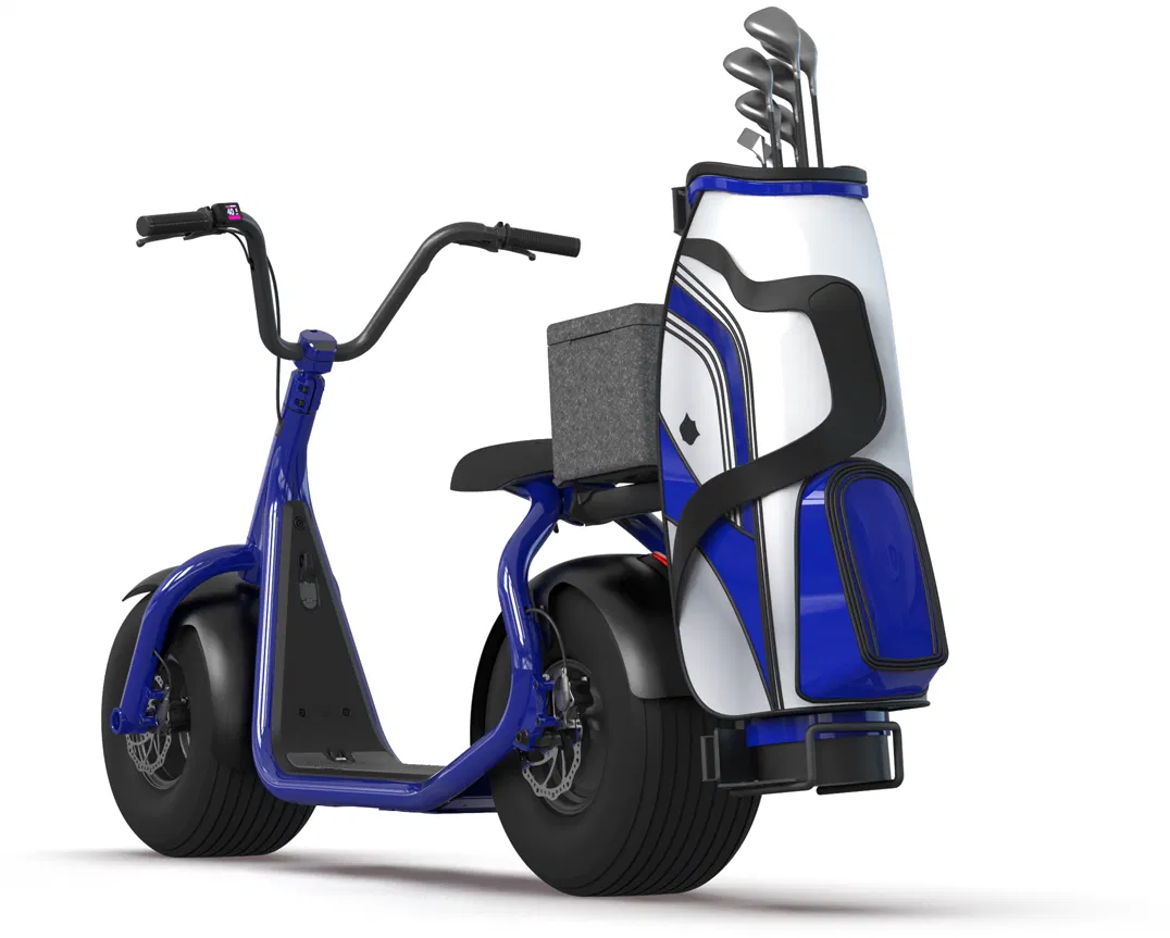 KAASPEED electric scooter with golf bag rack