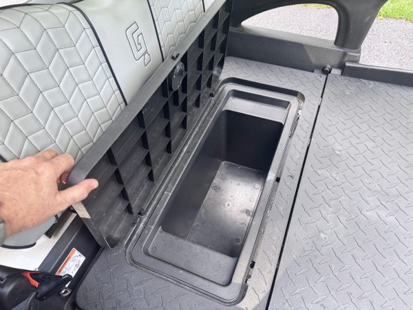 Honor LSV Champaigne with Grey Seats Used 6 Seats - Image 9