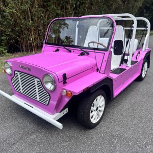 2022 Pink Moke with NEW 72 V Lithium Battery