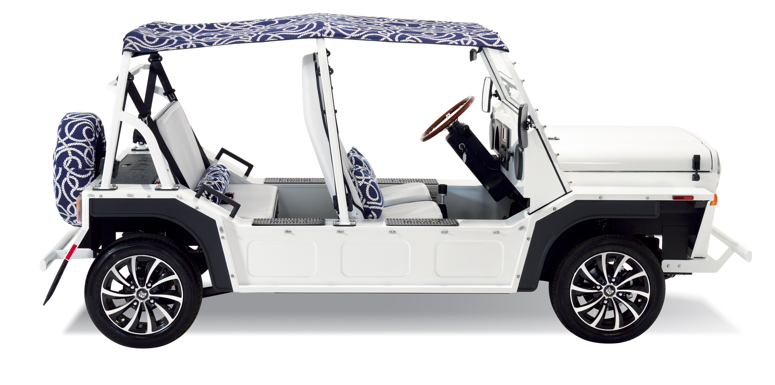 Moke 2026 crop for front page